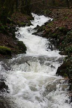 Hostellerie Sainte-Cecile Hotel 3*