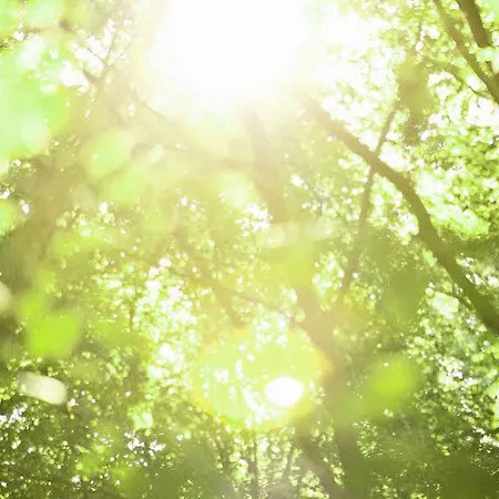 Sainte-cécile Sainte-Cécile