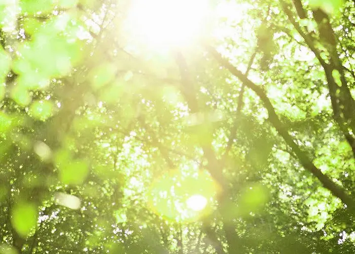 Hostellerie Sainte-Cecile 상테세실